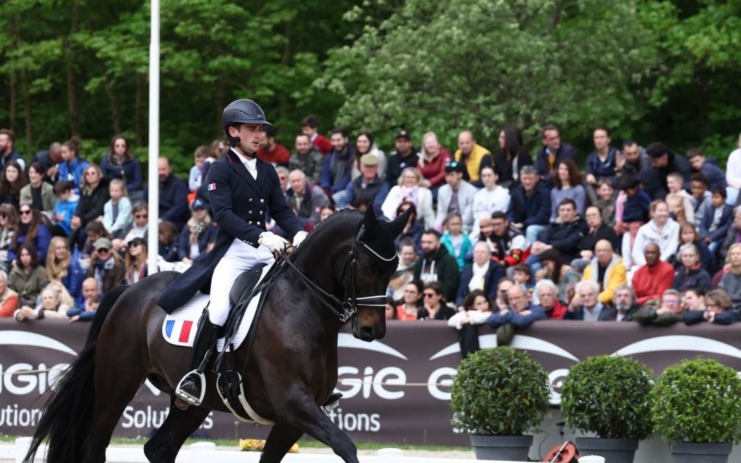 Le dressage