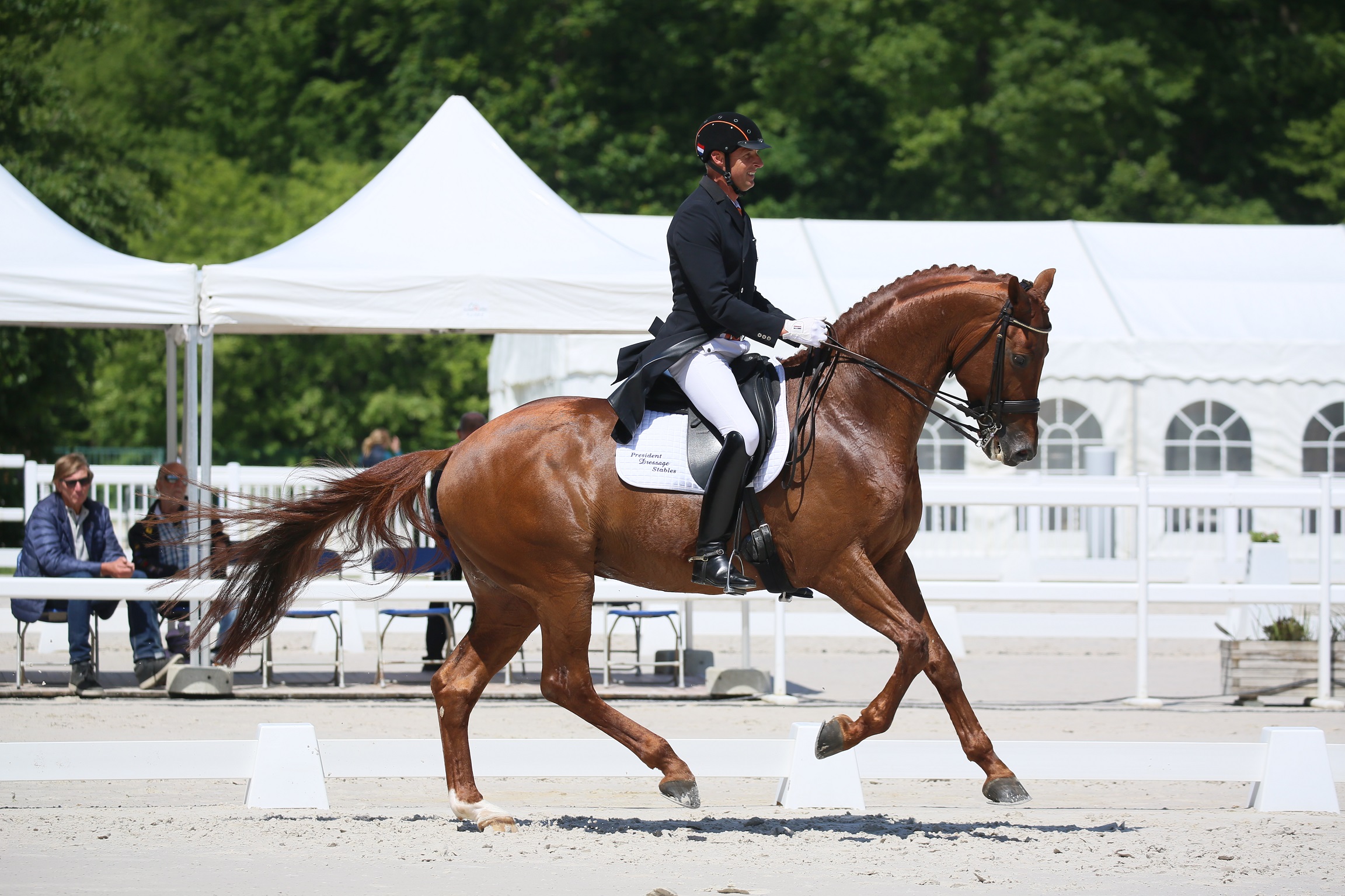 Pictures & Videos | Compiègne Equestre