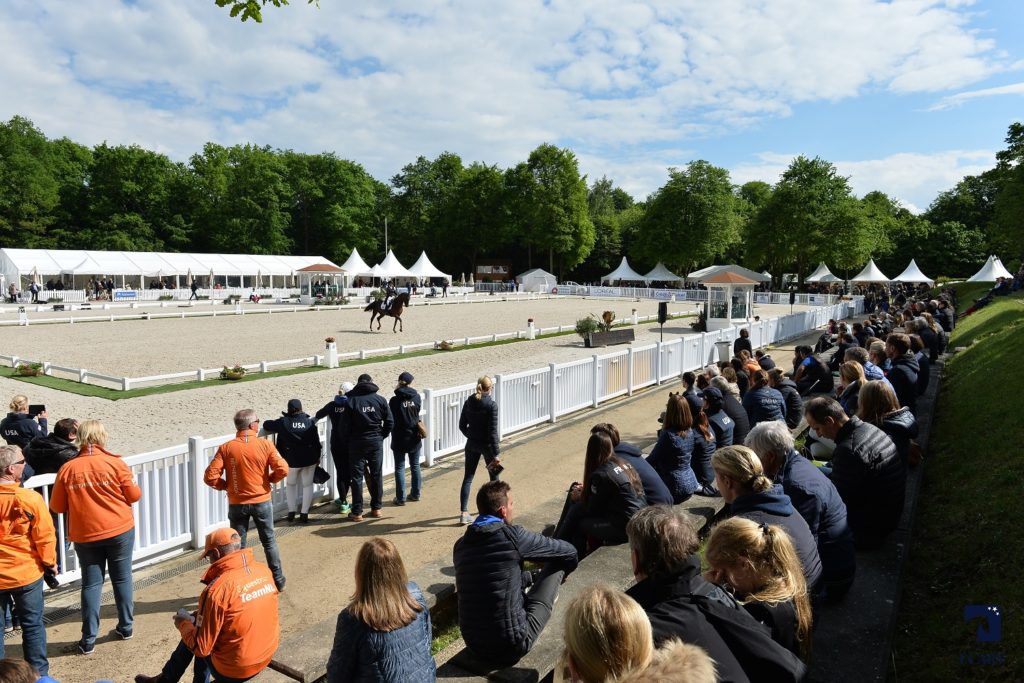 Do not miss anything of the ‘Internationaux de dressage’ of Compiègne ...