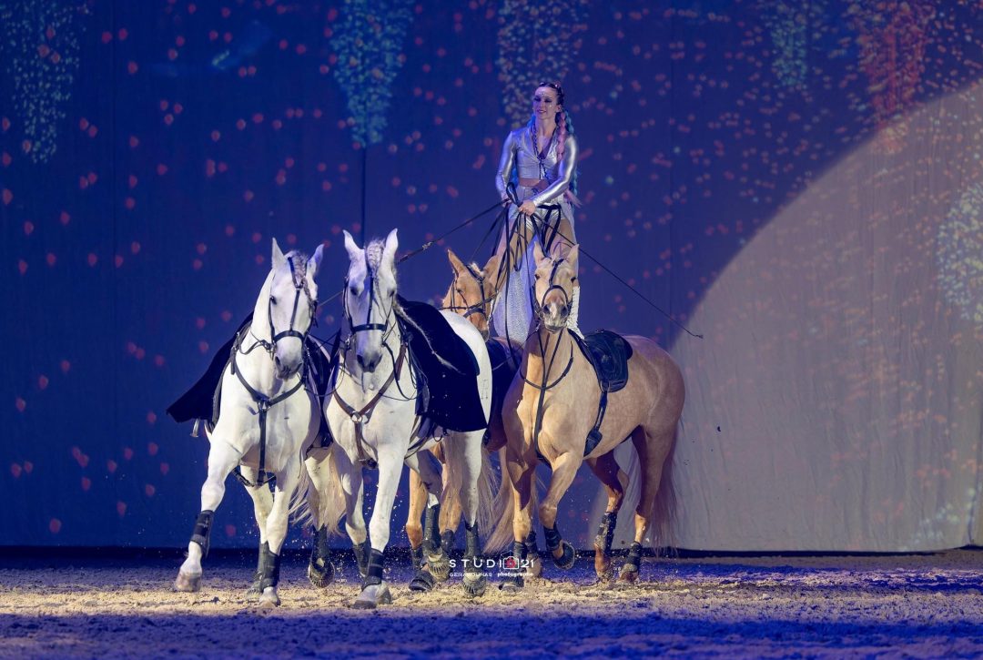 Arcs De Spectacle équestre - Modèle Elfe, Neuf